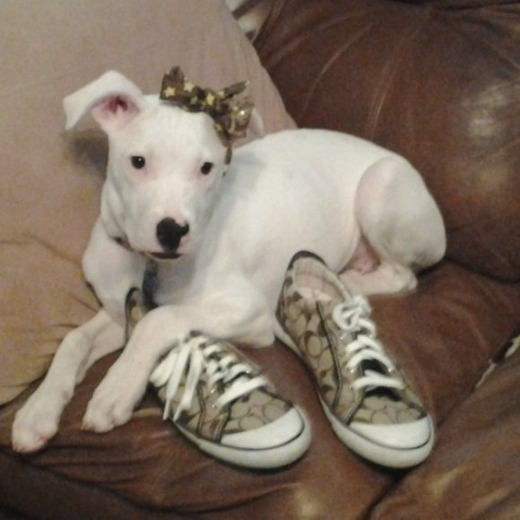 Meet your Posher, Teresa - Picture 1 of 1